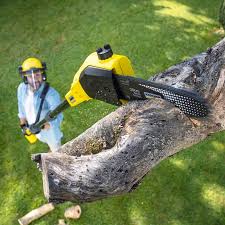 Best Commercial Tree Services  in Grant, NE